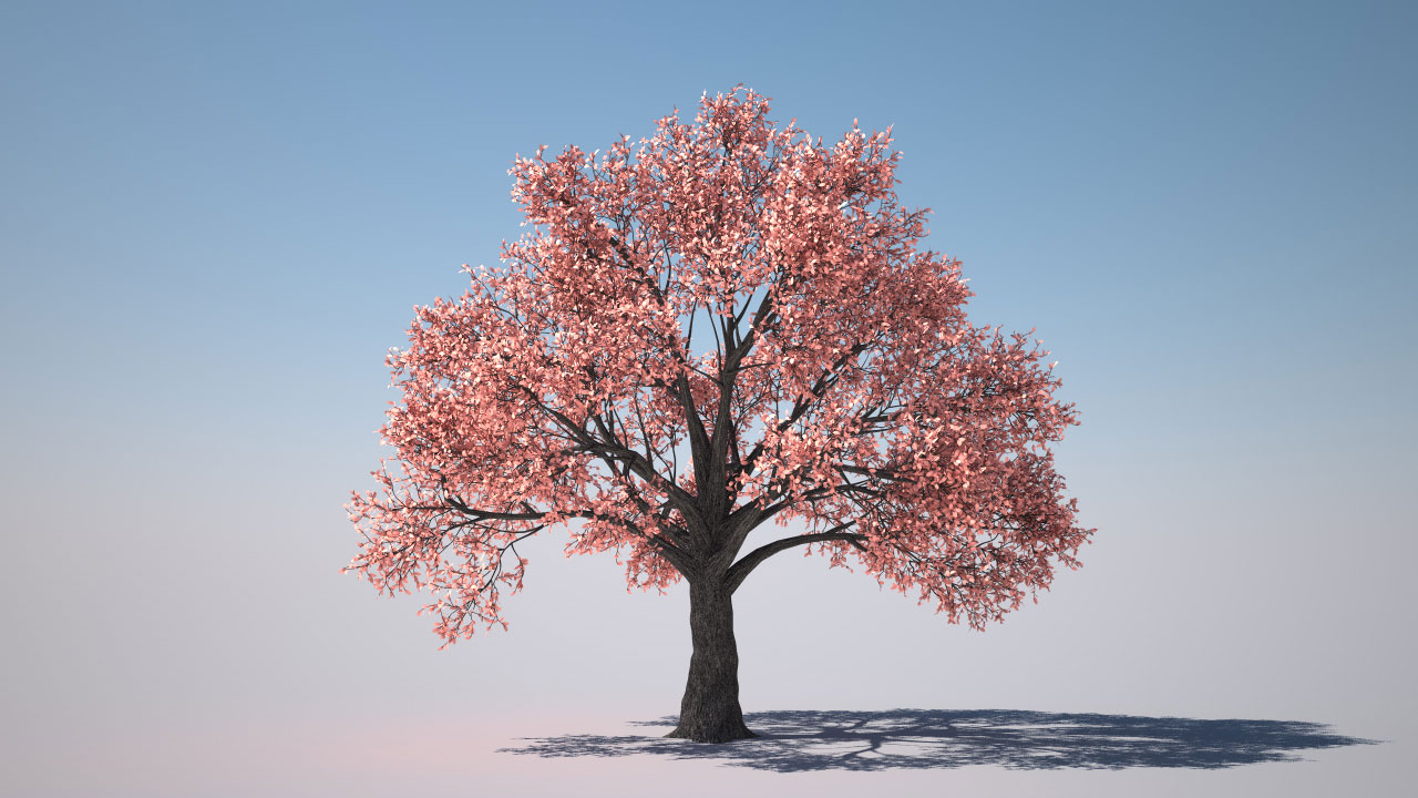 Как установить forester tree для cinema 4d r20